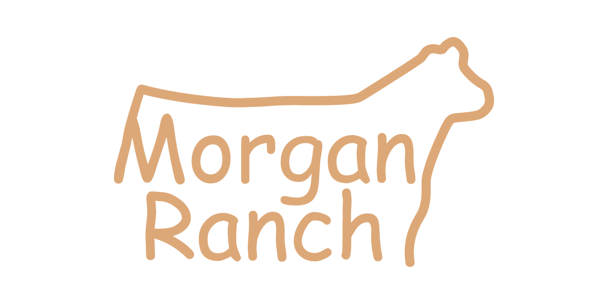 Morgan Ranch Heifer Logo